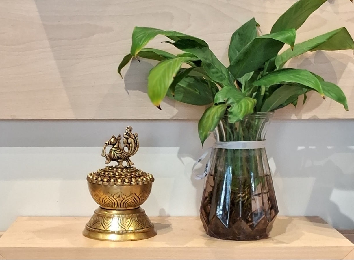 Brass Collections