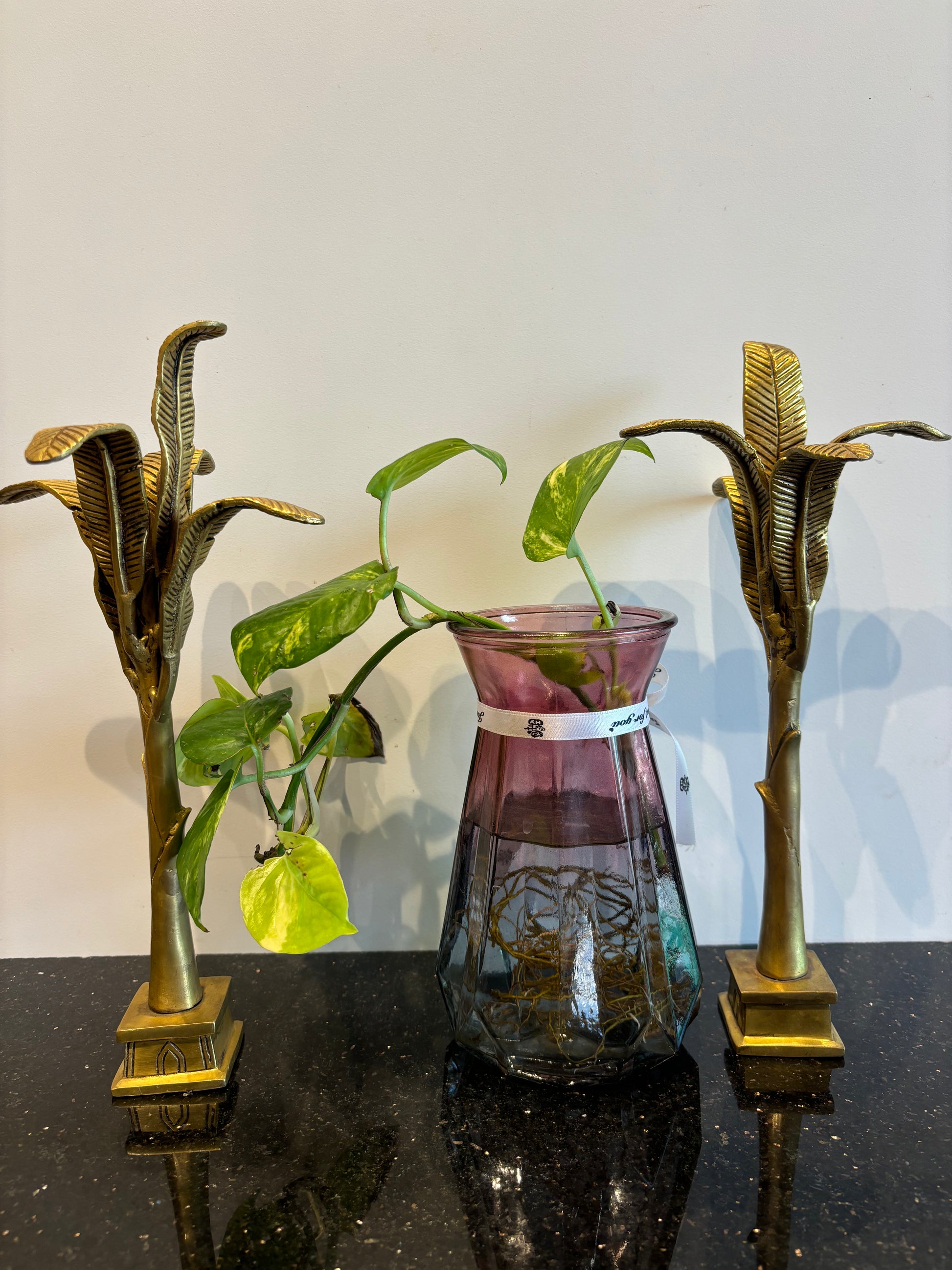 Banana Tree