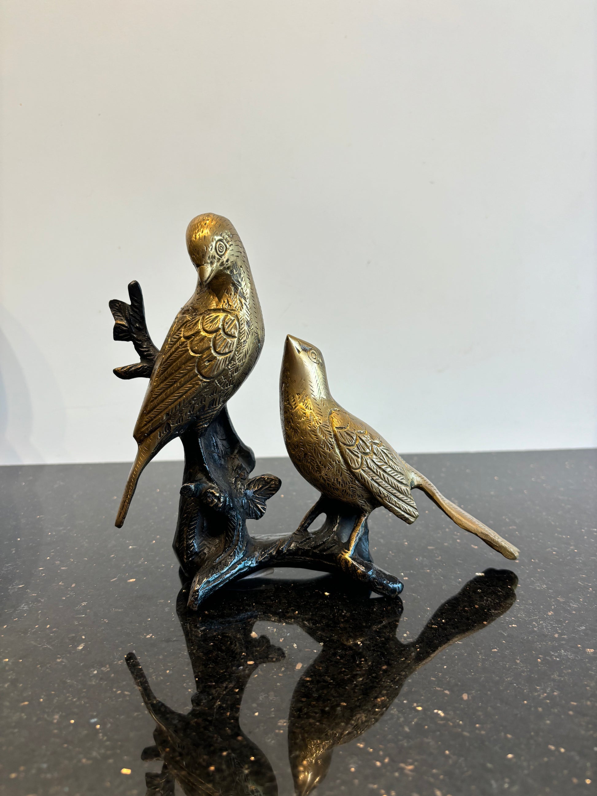 Birds