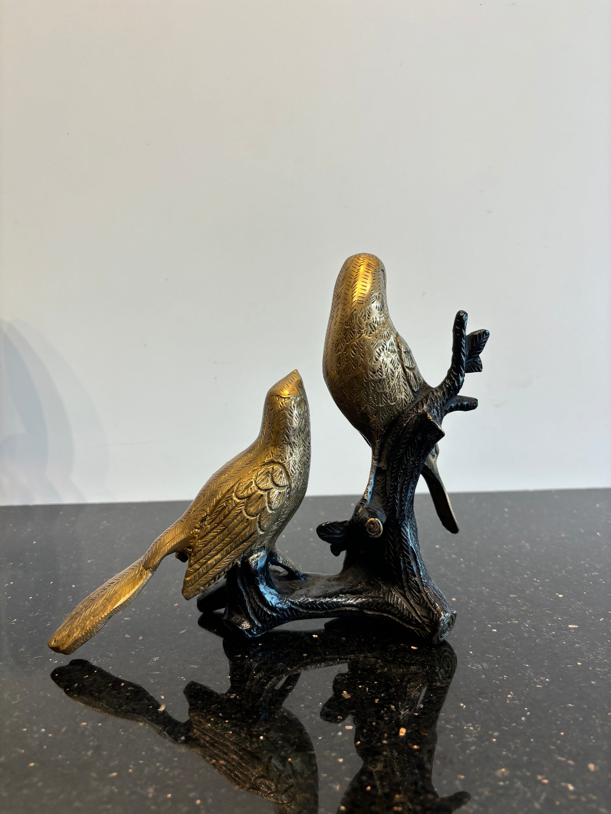 Birds