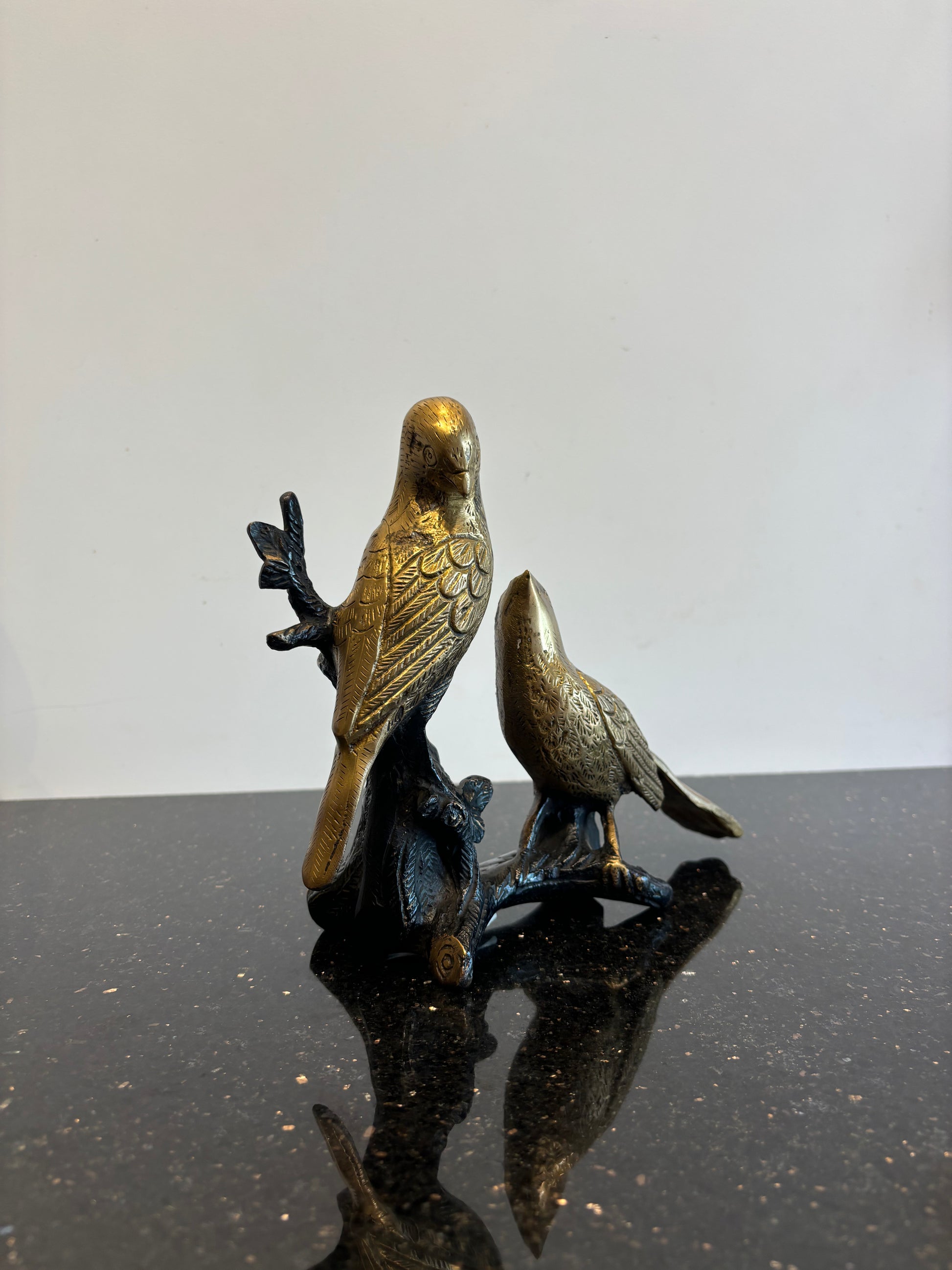 Birds