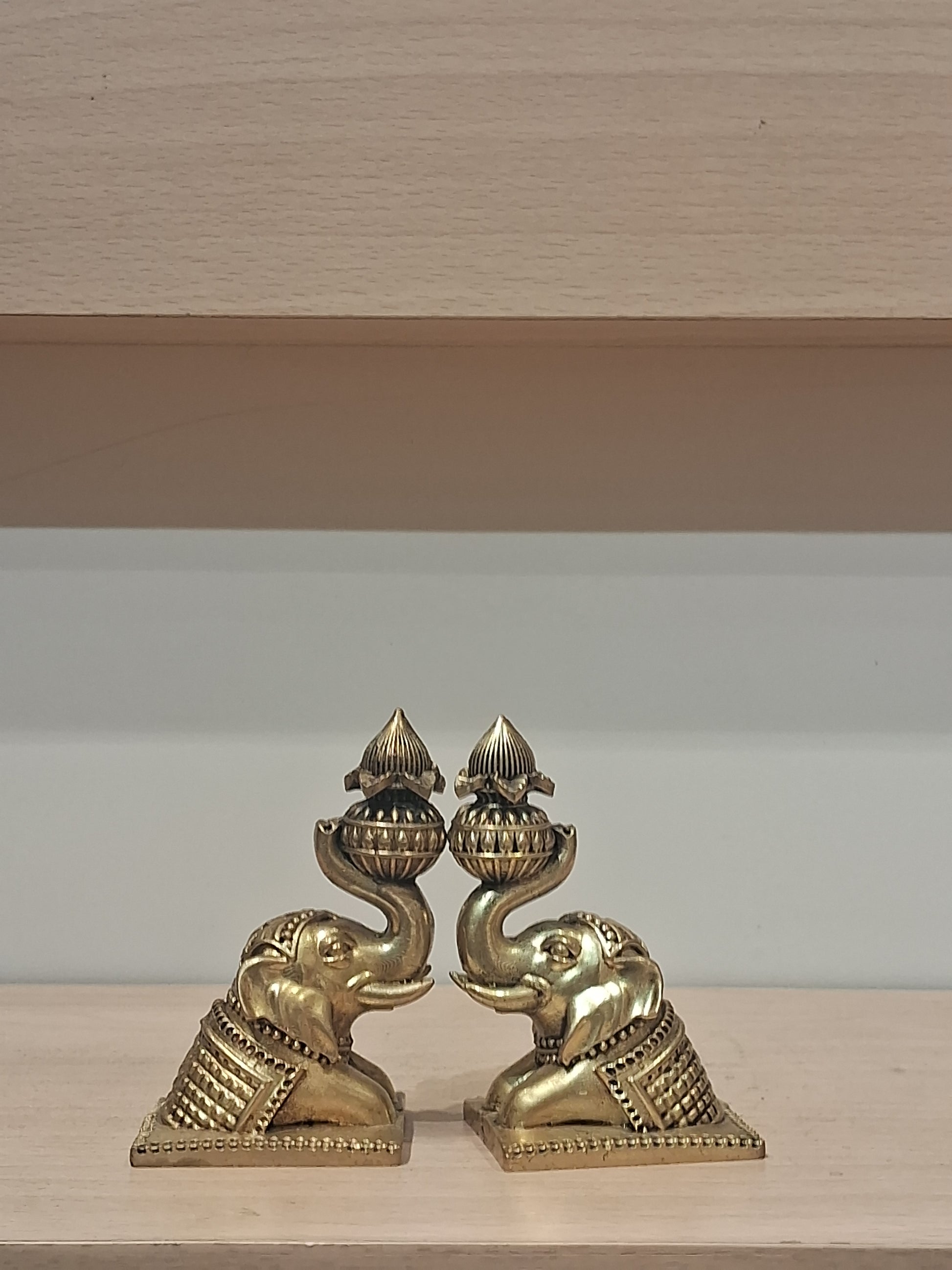 Elephant Holding Kalasam