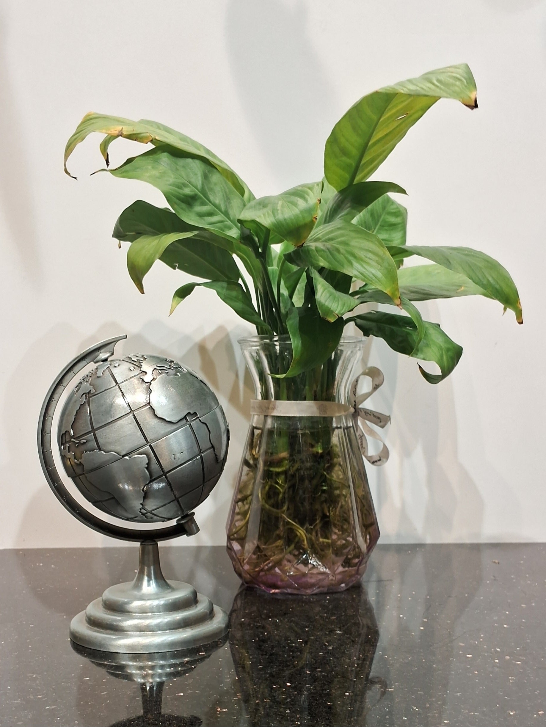 Globe Big