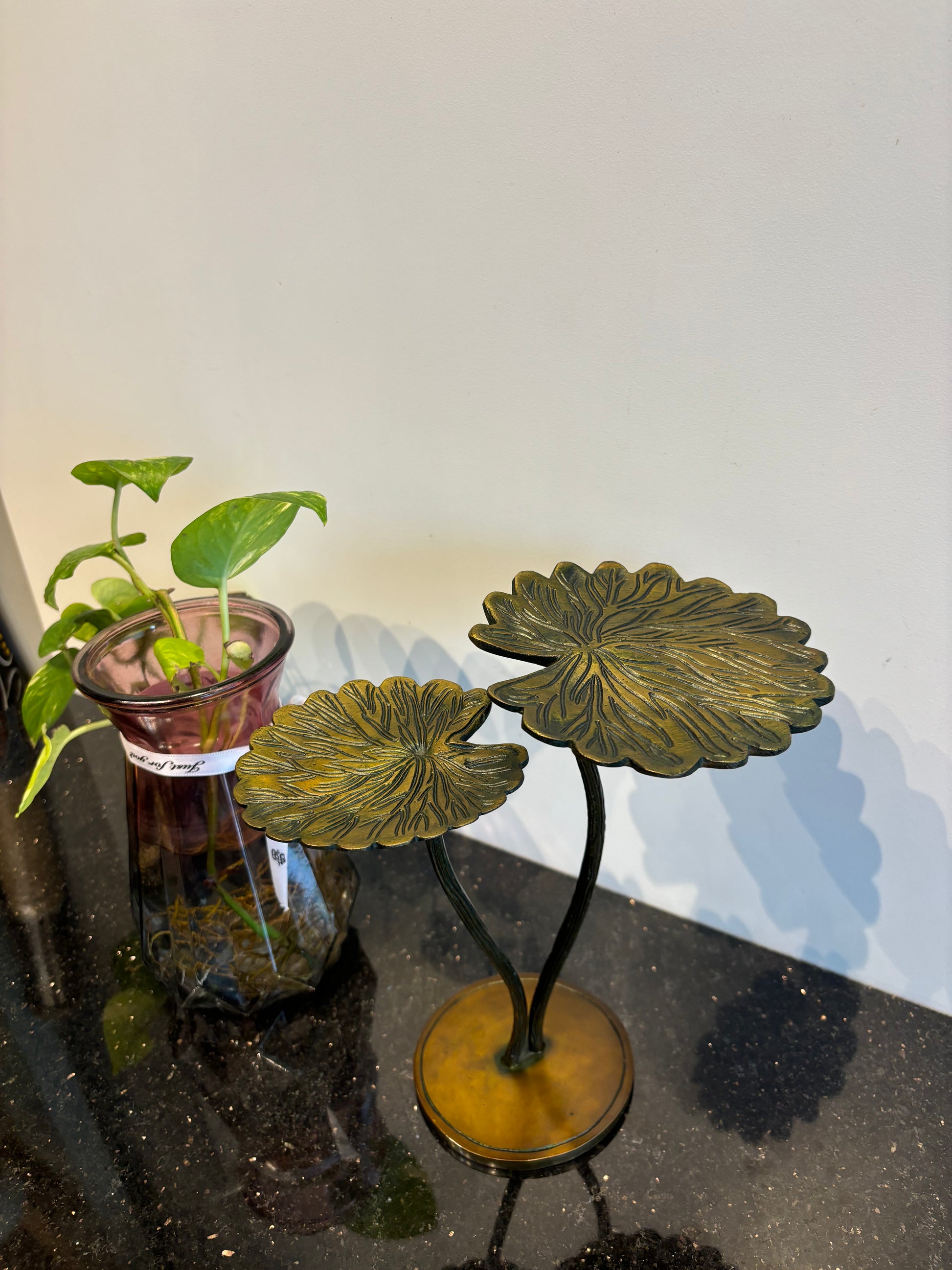 Lotus Leaf