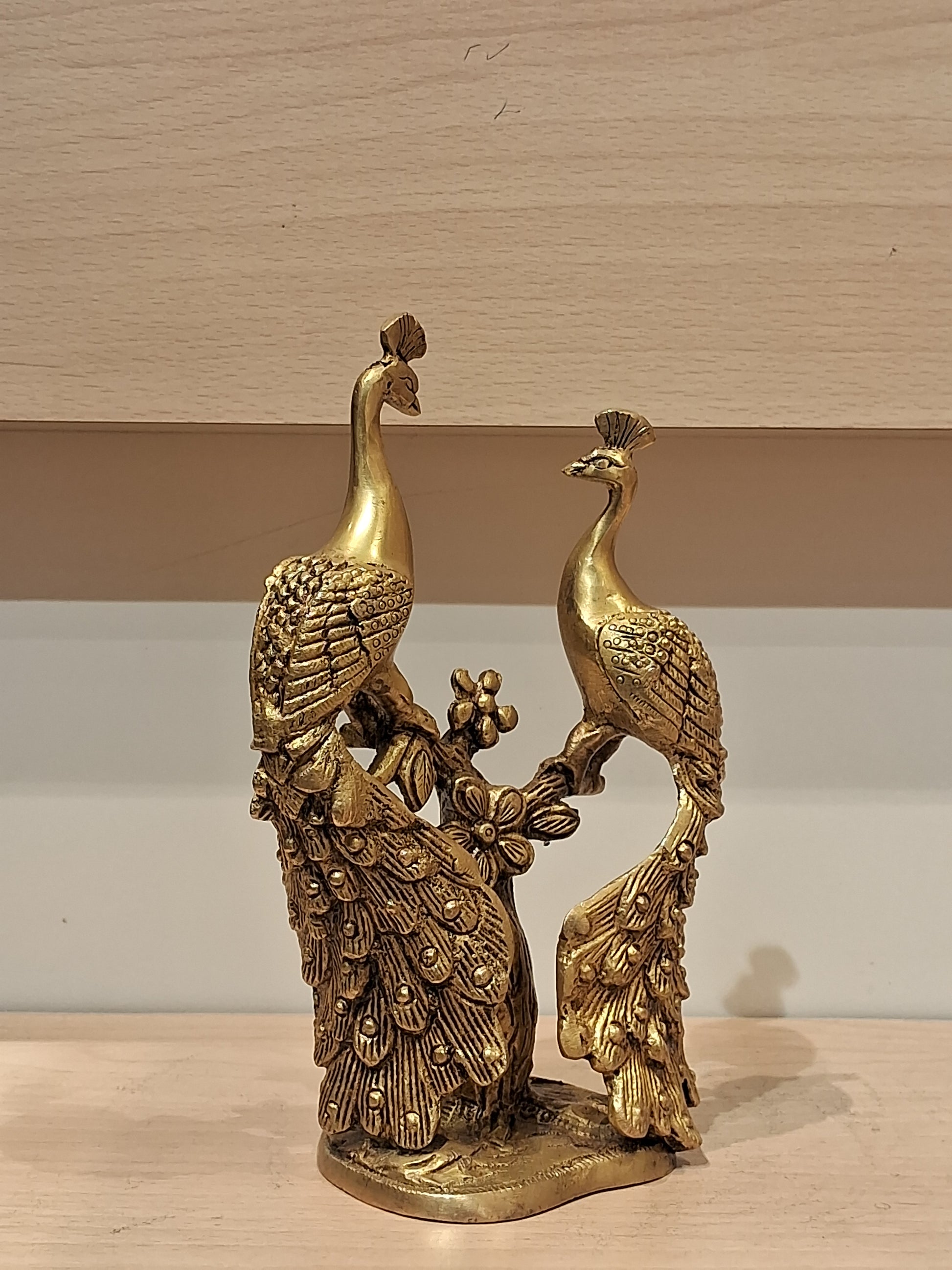Two Peacock on Tree